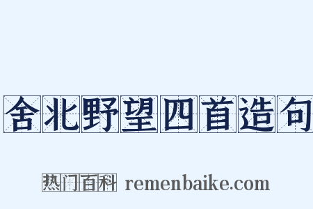舍北野望四首造句是什么意思的图片